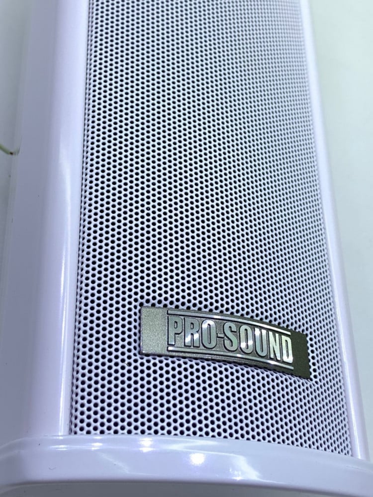 سماعة خارجية 10 واط - PRO SOUND