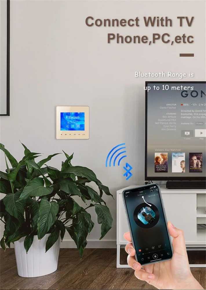 إمبليفاير جداري شاشة وسط 100 واط